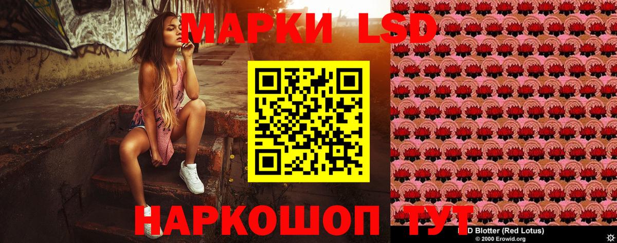 Псилоцибиновые грибы Ковров