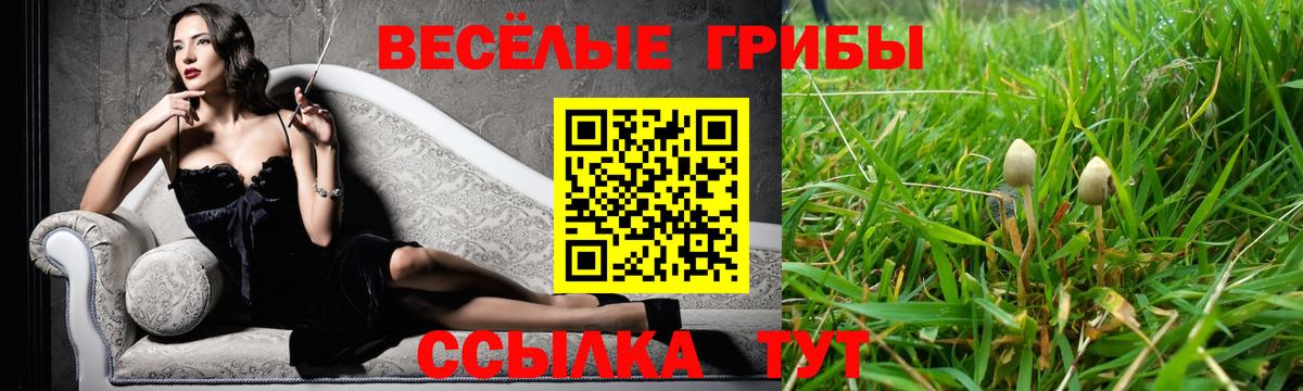 Псилоцибиновые грибы Psilocybe Ковров